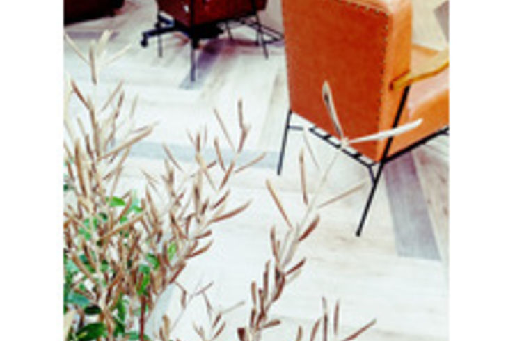 バイハンズ　割引　小岩　美容院　美容室